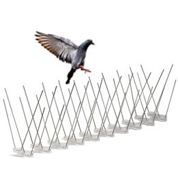 Bird Guards