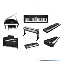 Keyboards & Pianos