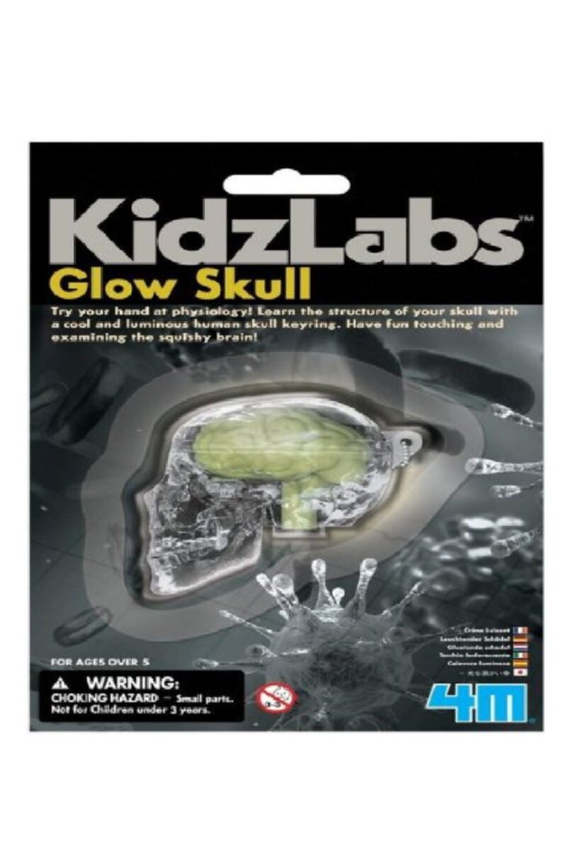 4M | Glow Skull | 48603313