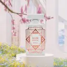 ADYAN | Musk Essential Eau de Parfum Unisex 100 | 6292257640267