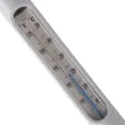 INTEX | Pool Thermometer Blister Card | 42129039