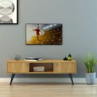 DANUBE | Savino TV Unit for TVs upto 55 Inches with Storage | 812700300205