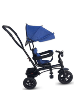Tricycle Toy for Kids 1-3Yrs Blue | 318 1