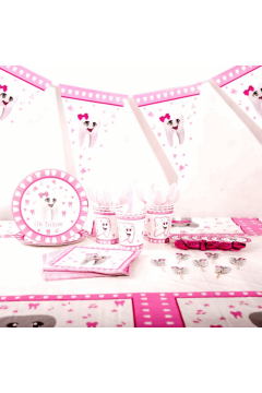 My First Tooth Theme Party Decoration for Girl 52Pcs | MGS-073