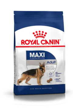 ROYAL CANIN | Maxi Adult 4 KG