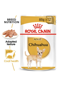 ROYAL CANIN | Chihuahua Adult (WET FOOD - Pouches)  85g