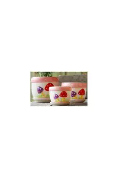 Table Ceramic Pot for Plants in 3 Sizes | 17cm X 14cm | 14cm X 11cm | 10cm X 10cm
