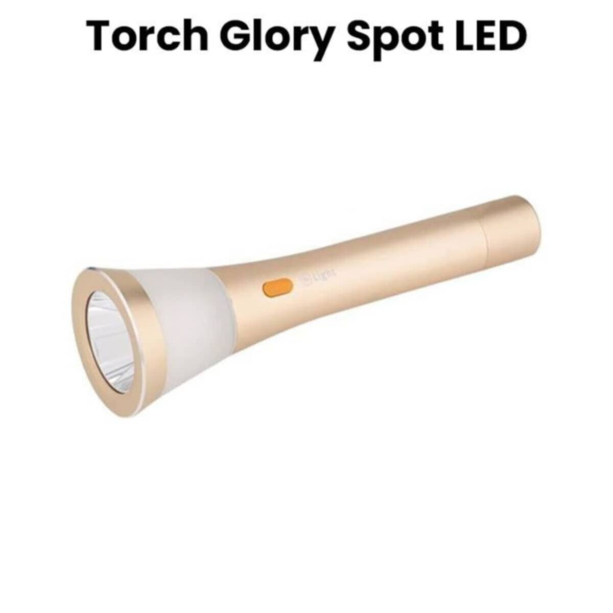 Mr Light | Torch | MR 4000