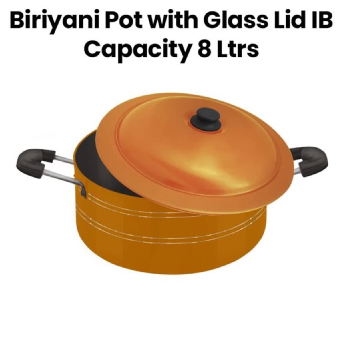 Mr Light | 8Ltrs Pot with Stainless Steel Lid | MR BIRIYANI POT 8
